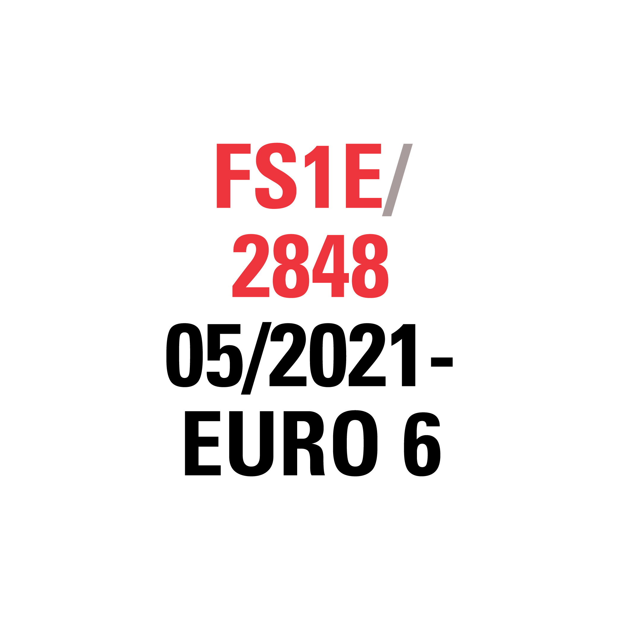 FS1E 2848/2845 06/2021-     EURO 6